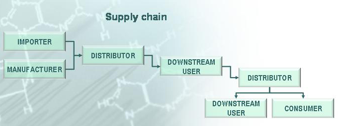 Grafik_REACH_SupplyChain